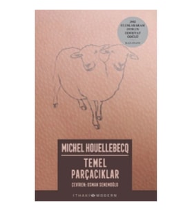 Temel Parçacıklar