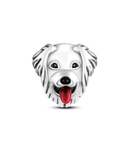 Fubena Gülümseyen Köpek Charm