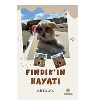Fındık'ın Hayatı