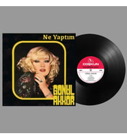 PLAK - Gönül Akkor / Ne yaptım