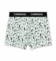 CARNAVAL Penguen Desenli Premium Pamuklu Erkek Boxer -Açık Mavi Renkli