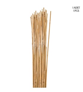 Vitale Tekli Bambu Çubuk 210 Cm AK.ZND129