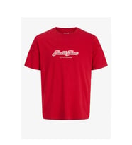 Jack & Jones Jorcatskills Çocuk Tişört (Mavi)