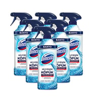 Domestos Banyo Hijyenik Köpük Çamaşır Suyu Kutup Ferahlığı 450 Ml X 6 Adet