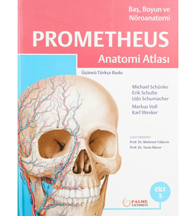 Prometheus Anatomi Atlası Cilt 3 (Baş, Boyun Ve Nöroanatomi) (Krem)
