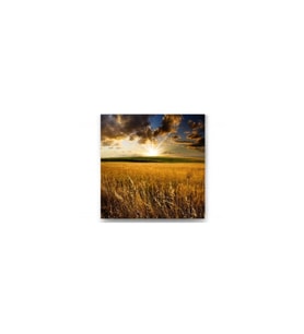 DBSanatevi Uzun Çayırlar Tablo 70 X 70 cm