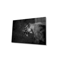 Aslan Cam Tablo 4mm Dayanıklı Temperli Cam (Çok Renkli)