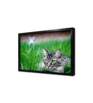 Kedi Çerçeveli Mdf Tablo