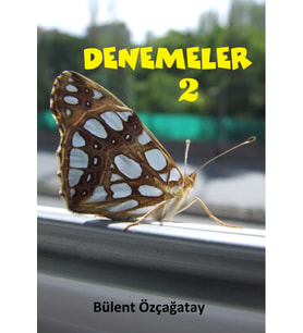 Denemeler 2
