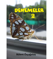 Denemeler 2