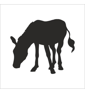 EŞEK  FOLYO STİCKER 160cm Uzunluk (Karışık)