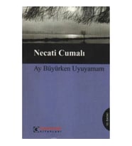 Ay Büyürken Uyuyamam