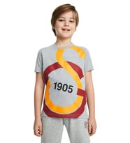 Galatasaray Büyük Logolu Çocuk Tee Gri T-shirt