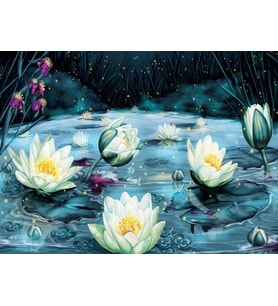 Nova Puzzle 1000 Parça Yıldızlı Gecede Lotus Çiçekleri 
