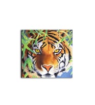 DBSanatevi Kaplan Tablo 50 X 50 Cm