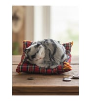 Peluş Yavru Kedi Oyuncak Minder Üstünde Uyuyan Kedi Küçük Boy 10 x 11