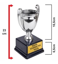 Şampiyonlar Ligi Mini Kupası (23 cm) Kişiye Özel Yazı Yazılır Kupa Ödül Kupası (Gümüş)