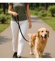 Beylini Dayanıklı Köpek Gezdirme Kayışı Metal Tokalı Bütün Tasmalara Uyumlu Evcil Hayvan Tasması Siyah