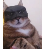 Kediler Için - Batman Kedi Maskesi (Beyaz)