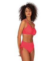 Endeep Kadın Büyük Beden Balenli Destekli Bağlama Detaylı Pembe Bikini Takımı