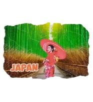 Japonya Temalı Fresco Magnet (Karışık)