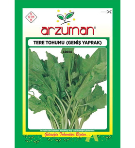 Helen Tere Tohumu Geniş Yaprak 25 Gr