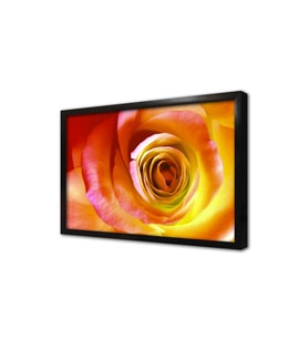 Makro Çekim Gül Çerçeveli Cam Tablo
