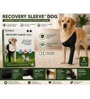 Suitical Recovery Sleeve® Dog – S Beden Köpek Koruyucu İyileşme Kolluğu