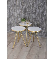 Zigon Sehpa Ve Orta Sehpa Elips Gold Metal Ayak Gold Beyaz Set