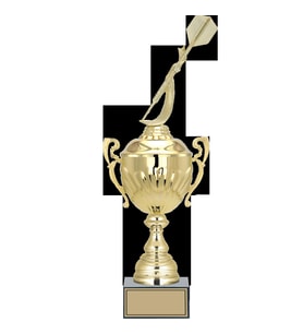 ODAK KUPA - Figürlü Kupalar - Dart Figürlü Kupalar FG-089 C - 46 cm