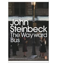 The Wayward Bus