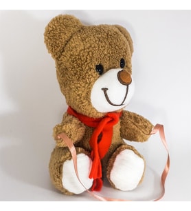 Peluş Ayıcık