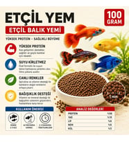 Etçil Akvaryum Balık Yemi, Granül 500–800 Micron, Yüksek Proteinli%50, Hızlı Büyüme, Canlı Renk, Tüm Tropikal Balıklar İçin (100 gr)