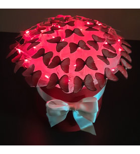 LED Işıklı Kelebek Çiçek  Buketi KUTUDA - A Kalite Büyük Boy Buket - Hediyelik -Mavi- Pembe-Kırmızı-Yeşil Kelebek Buketi