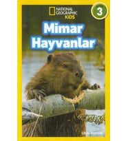 Kids - Mimar Hayvanlar - Seviye 3