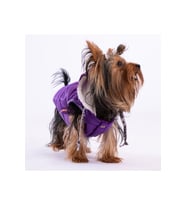 Pawstar Kedi ve KÜÇÜK Köpek Purple Railway Vest 2XL Sırt43cm Göğüs58cm Boyun38cm