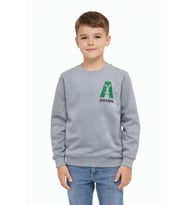 Erkek Çocuk Önü Baskılı Sweatshirt BGL-ST05234 (Gri)
