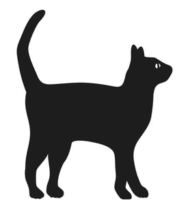 KEDİ FOLYO STİCKER 50cm Uzunluk