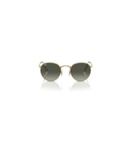 Rayban Unisex Güneş Gözlüğü RB3447 001/71