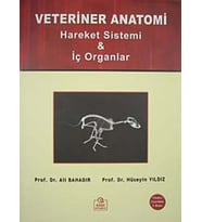 Veteriner Anatomi: Hareket Sistemi Ve İç Organlar (Krem)
