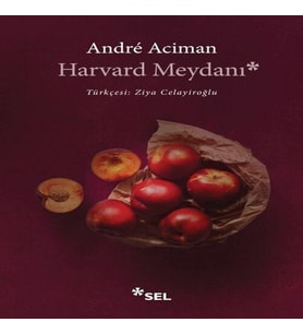 Harvard Meydanı