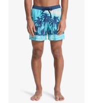 Quiksilver Erkek Desenli Deniz Şortu EQYJV04219