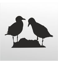 Folyo Sticker Kuşlar 130cm Uzunluk (Karışık)