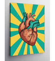 Kanvas Tablo Anatomik Kalp Tasarımı