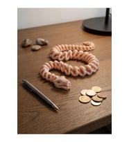 50cm Eklemli Spiral Yılan İskeleti - Hareketli 3D Baskı Dev Figür ve Stres Oyuncağı