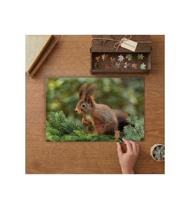 Sevimli Sincap Tasarımı 240 parça Ahşap Puzzle Ahşap Kutuda MP09889