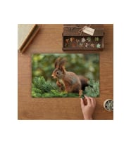 Sevimli Sincap Tasarımı 240 parça Ahşap Puzzle Ahşap Kutuda MP09889