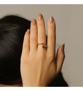 Cartier Çivi Gold Yüzük (Altın)