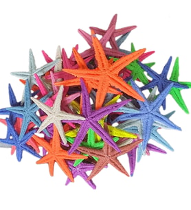 Polyester Deniz Yıldızı 6 CM - 9 CM (50 Adet)  Karışık Renk