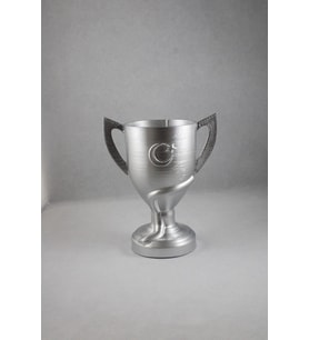 Ziraat Türkiye Kupası 25 Cm